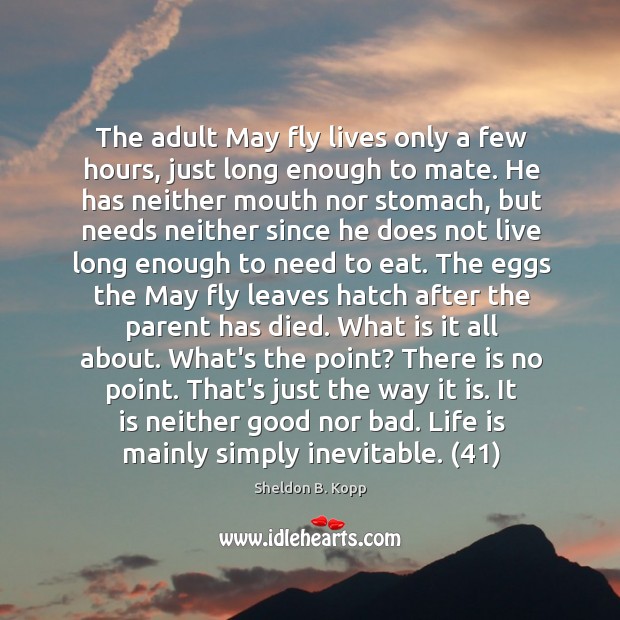 The adult May fly lives only a few hours, just long enough Sheldon B. Kopp Picture Quote
