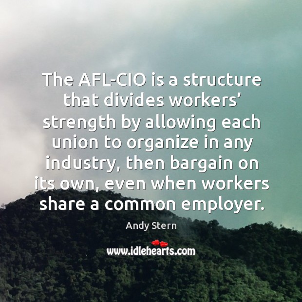 The afl-cio is a structure that divides workers’ strength by allowing each union to organize in any industry Andy Stern Picture Quote
