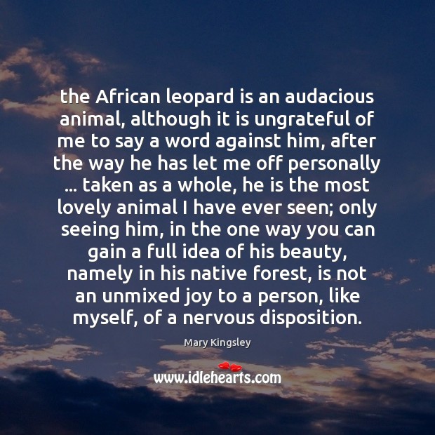 The African leopard is an audacious animal, although it is ungrateful of Image