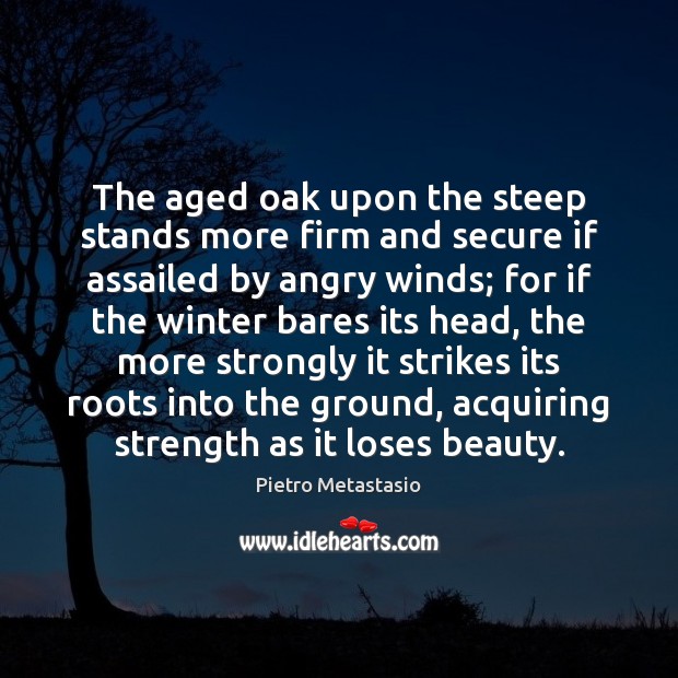 The aged oak upon the steep stands more firm and secure if Image