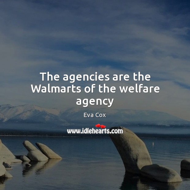 The agencies are the Walmarts of the welfare agency 