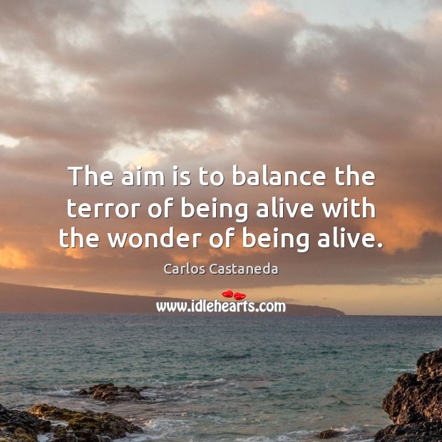 The aim is to balance the terror of being alive with the wonder of being alive. 