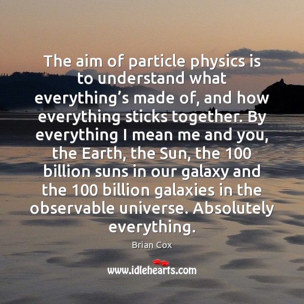 The aim of particle physics is to understand what everything’s made Brian Cox Picture Quote