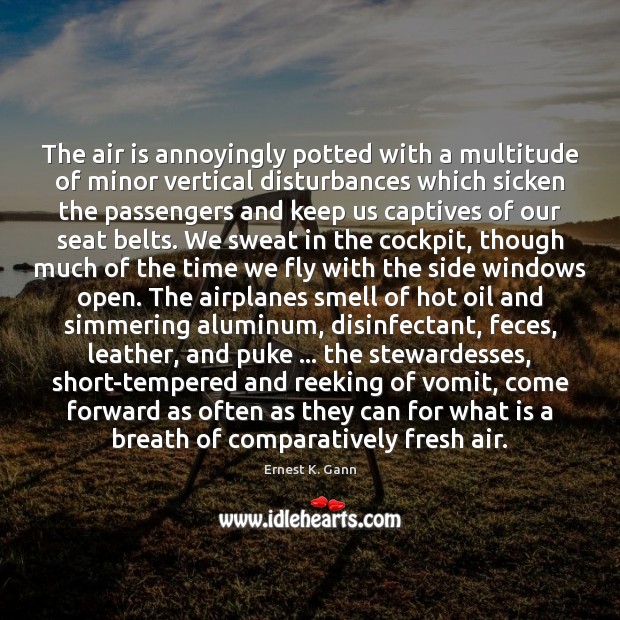 The air is annoyingly potted with a multitude of minor vertical disturbances Ernest K. Gann Picture Quote
