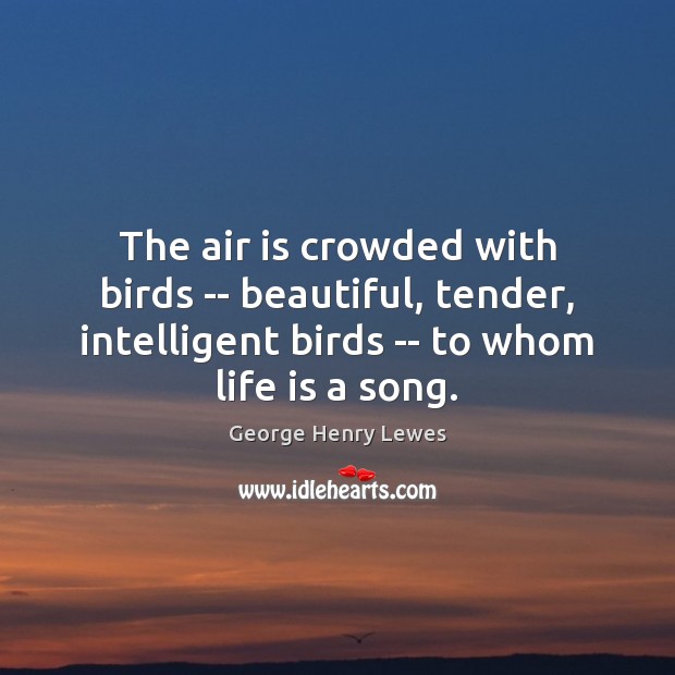 The air is crowded with birds — beautiful, tender, intelligent birds — George Henry Lewes Picture Quote