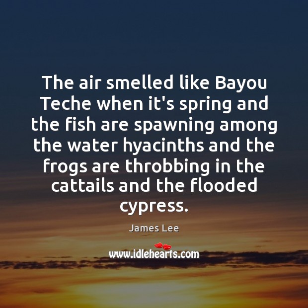 The air smelled like Bayou Teche when it’s spring and the fish James Lee Picture Quote