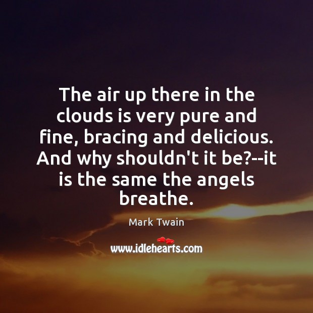 The air up there in the clouds is very pure and fine, Mark Twain Picture Quote