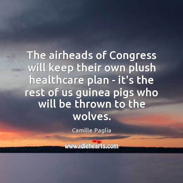 The airheads of Congress will keep their own plush healthcare plan – Camille Paglia Picture Quote