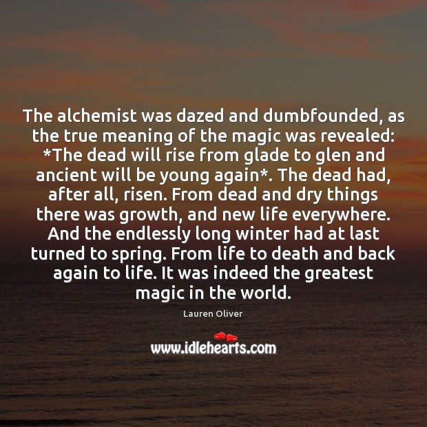 The alchemist was dazed and dumbfounded, as the true meaning of the Lauren Oliver Picture Quote
