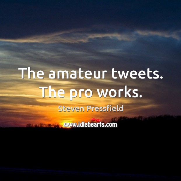 The amateur tweets. The pro works. Steven Pressfield Picture Quote