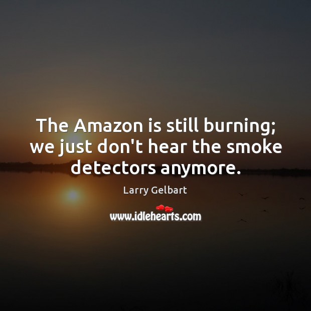 The Amazon is still burning; we just don’t hear the smoke detectors anymore. Larry Gelbart Picture Quote
