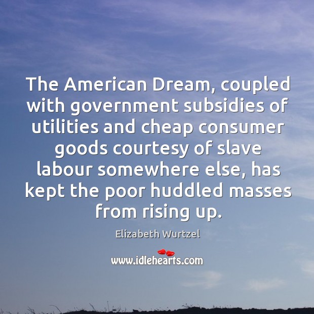 The American Dream, coupled with government subsidies of utilities and cheap consumer Elizabeth Wurtzel Picture Quote