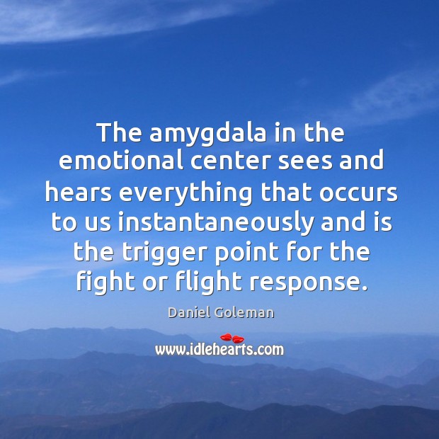 The amygdala in the emotional center sees and hears everything Daniel Goleman Picture Quote