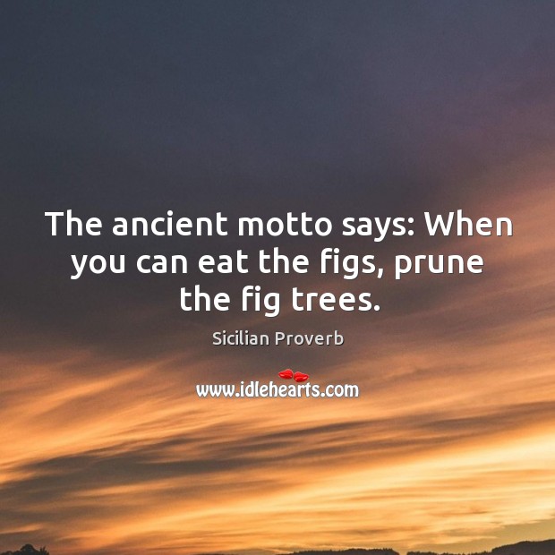 The ancient motto says: when you can eat the figs, prune the fig trees. Sicilian Proverbs Image