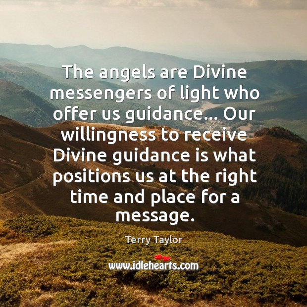 The angels are Divine messengers of light who offer us guidance… Our Terry Taylor Picture Quote