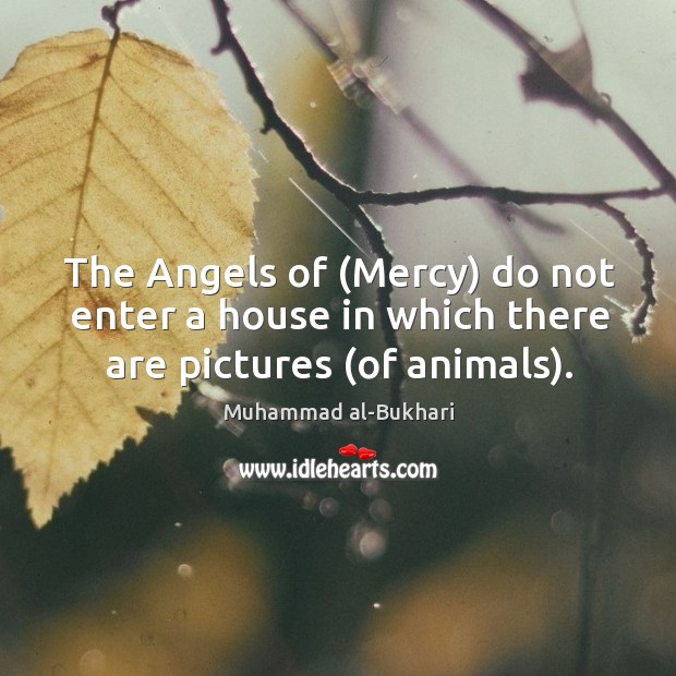The Angels of (Mercy) do not enter a house in which there are pictures (of animals). Muhammad al-Bukhari Picture Quote