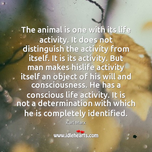 The animal is one with its life activity. It does not distinguish Karl Marx Picture Quote