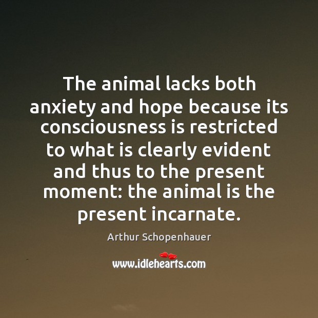The animal lacks both anxiety and hope because its consciousness is restricted Arthur Schopenhauer Picture Quote