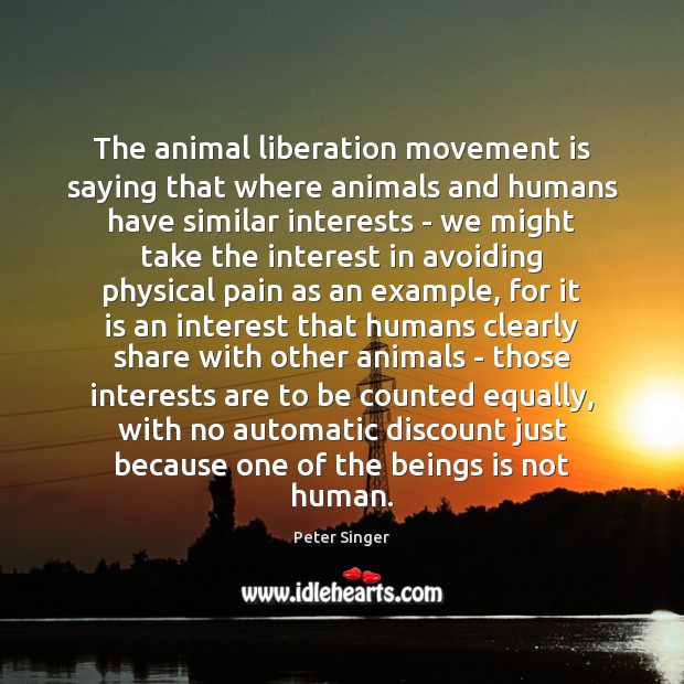 The animal liberation movement is saying that where animals and humans have Peter Singer Picture Quote