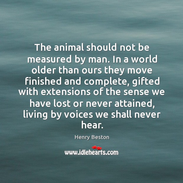 The animal should not be measured by man. In a world older Image