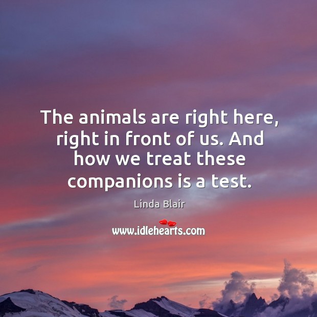 The animals are right here, right in front of us. And how we treat these companions is a test. 