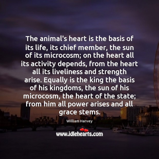 The animal’s heart is the basis of its life, its chief member, William Harvey Picture Quote