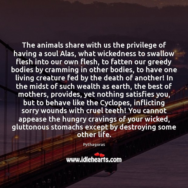 The animals share with us the privilege of having a soul Alas, Pythagoras Picture Quote