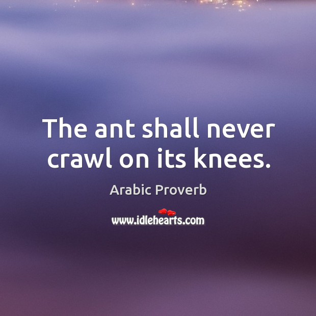 The ant shall never crawl on its knees. Arabic Proverbs Image