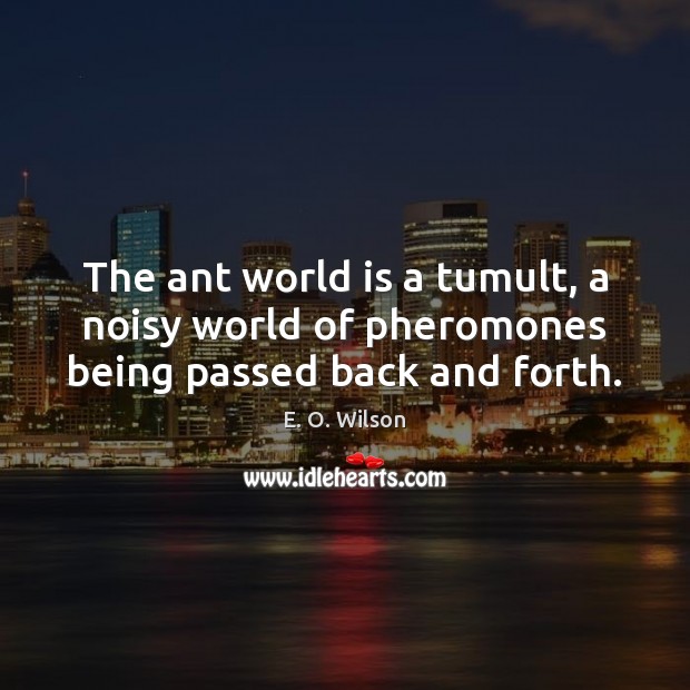 The ant world is a tumult, a noisy world of pheromones being passed back and forth. E. O. Wilson Picture Quote