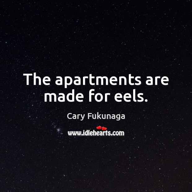 The apartments are made for eels. Cary Fukunaga Picture Quote
