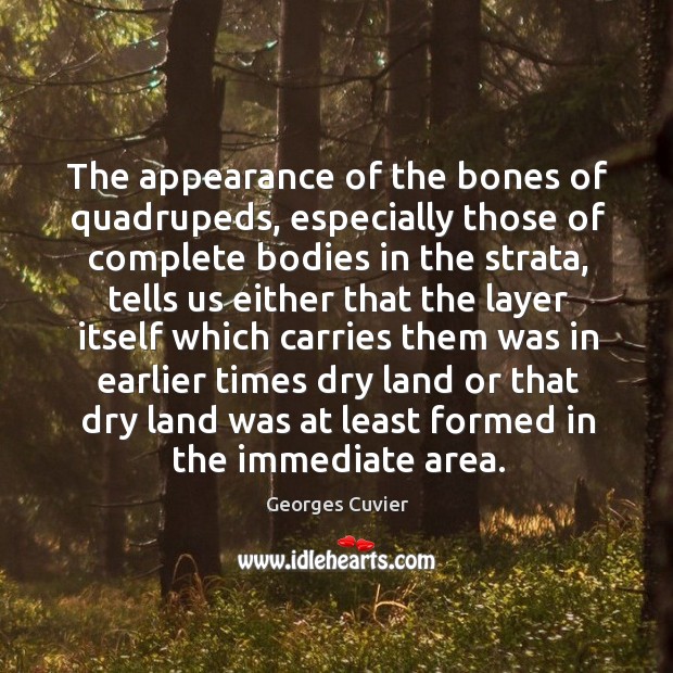 The appearance of the bones of quadrupeds, especially those of complete bodies in the strata Georges Cuvier Picture Quote