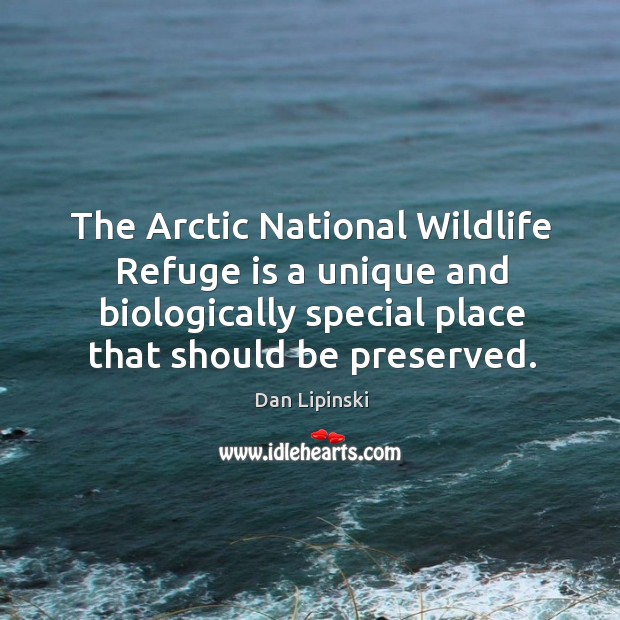 The arctic national wildlife refuge is a unique and biologically special place that should be preserved. Dan Lipinski Picture Quote