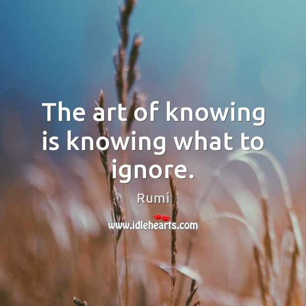 The art of knowing is knowing what to ignore. Image