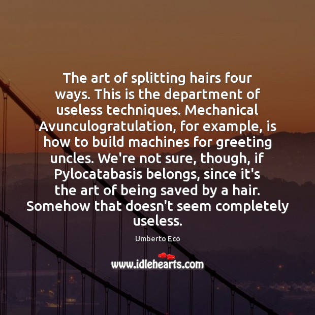 The art of splitting hairs four ways. This is the department of Umberto Eco Picture Quote