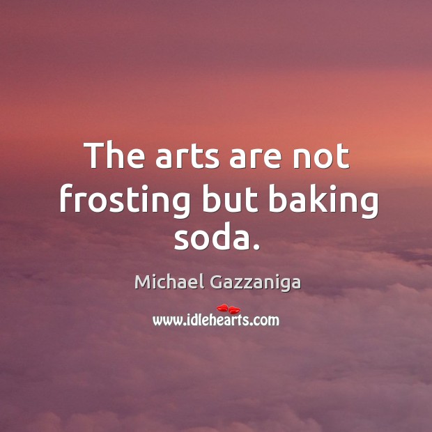 The arts are not frosting but baking soda. Michael Gazzaniga Picture Quote