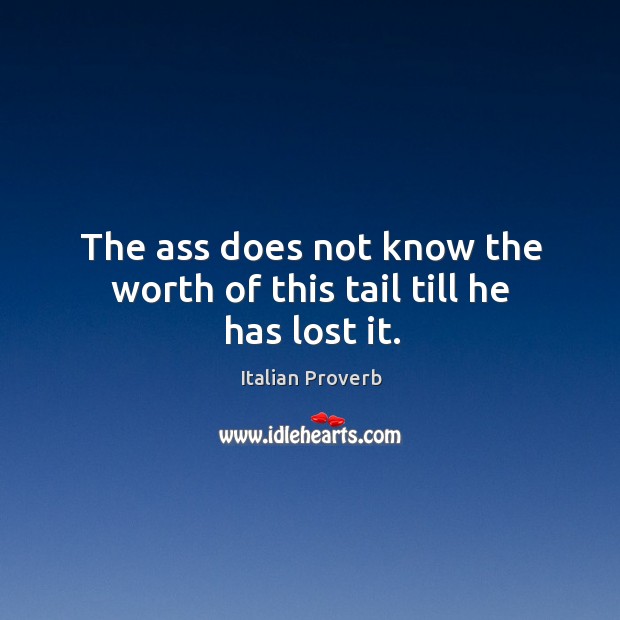 The ass does not know the worth of this tail till he has lost it. Image