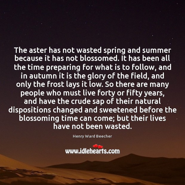 The aster has not wasted spring and summer because it has not Henry Ward Beecher Picture Quote