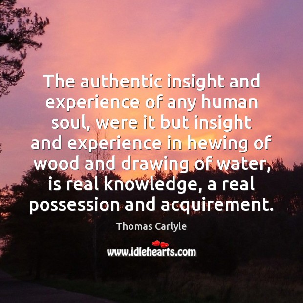 The authentic insight and experience of any human soul, were it but Thomas Carlyle Picture Quote