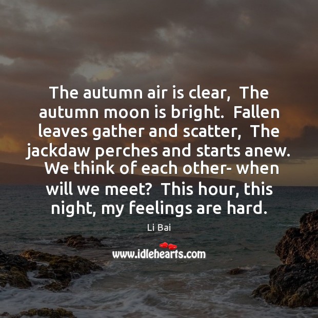 The autumn air is clear,  The autumn moon is bright.  Fallen leaves Image