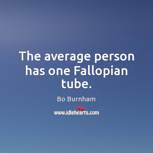 The average person has one Fallopian tube. Bo Burnham Picture Quote