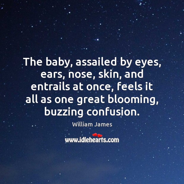 The baby, assailed by eyes, ears, nose, skin, and entrails at once, William James Picture Quote