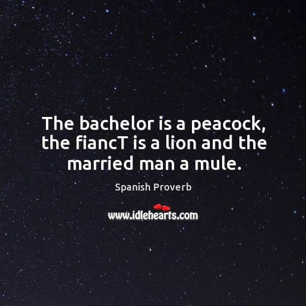 The bachelor is a peacock, the fianct is a lion and the married man a mule. Image