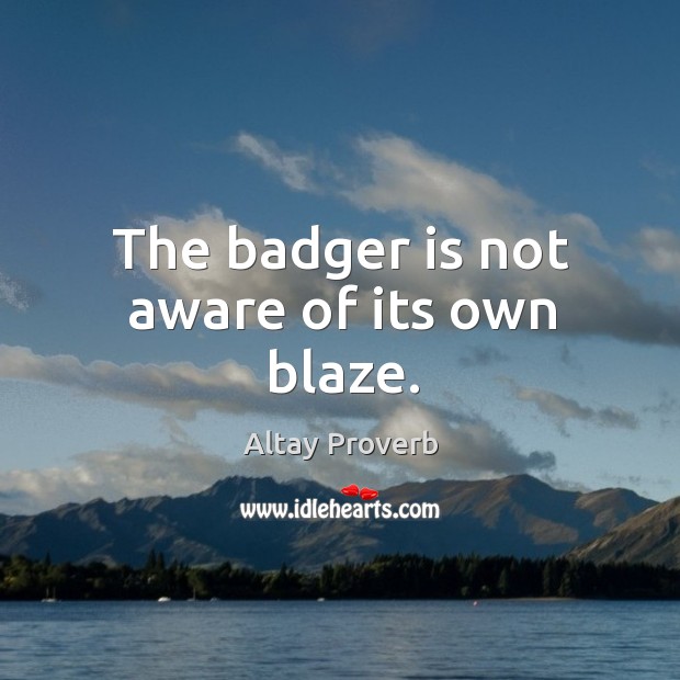 The badger is not aware of its own blaze. Altay Proverbs Image