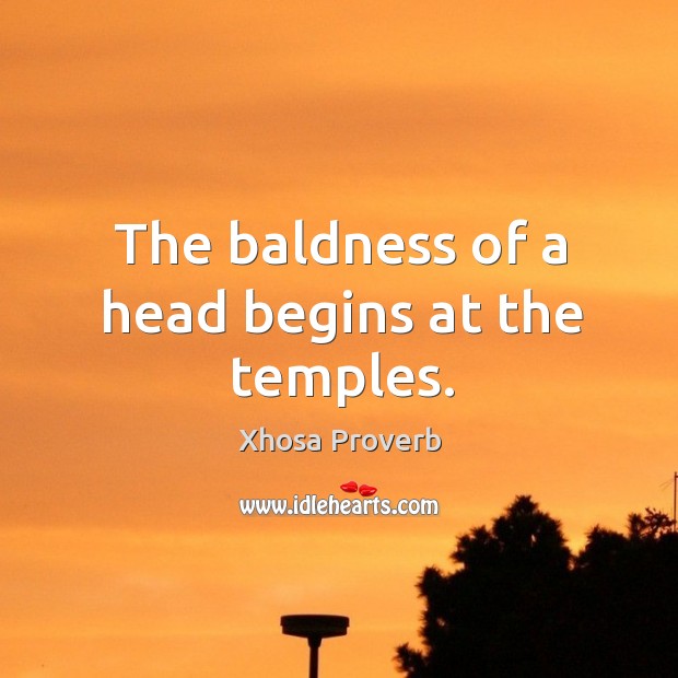 The baldness of a head begins at the temples. Xhosa Proverbs Image
