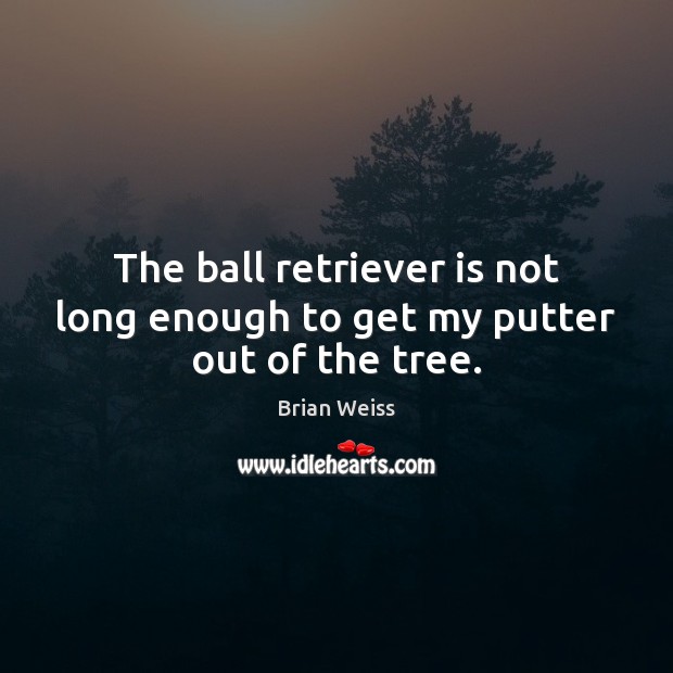 The ball retriever is not long enough to get my putter out of the tree. Brian Weiss Picture Quote