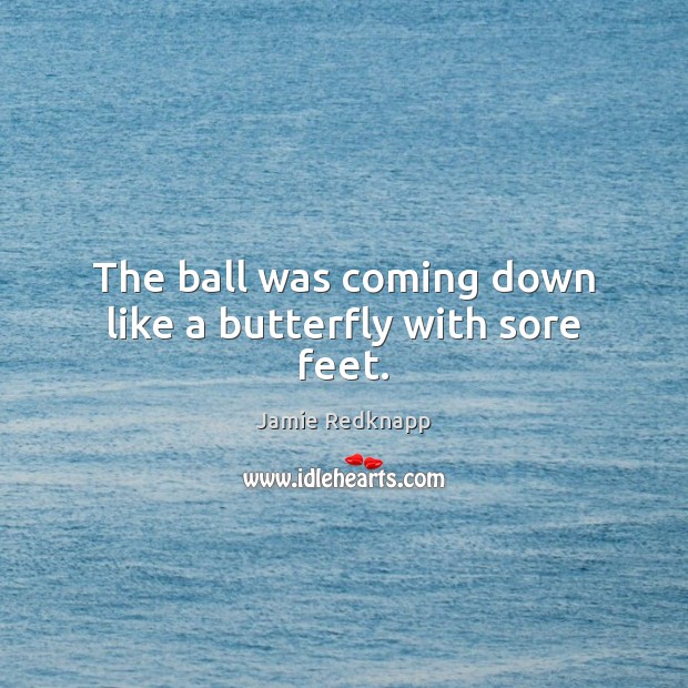 The ball was coming down like a butterfly with sore feet. Jamie Redknapp Picture Quote