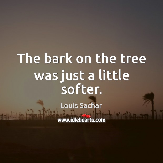 The bark on the tree was just a little softer. Louis Sachar Picture Quote