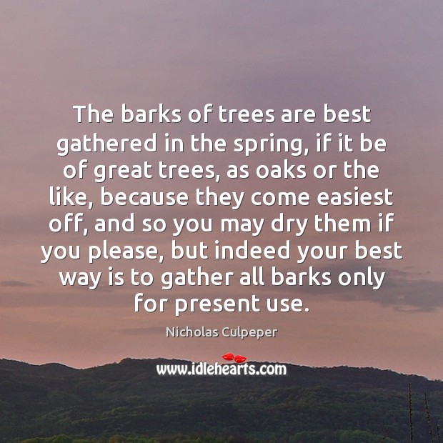 The barks of trees are best gathered in the spring, if it Nicholas Culpeper Picture Quote