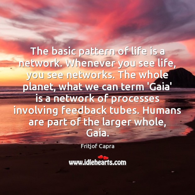 The basic pattern of life is a network. Whenever you see life, Fritjof Capra Picture Quote