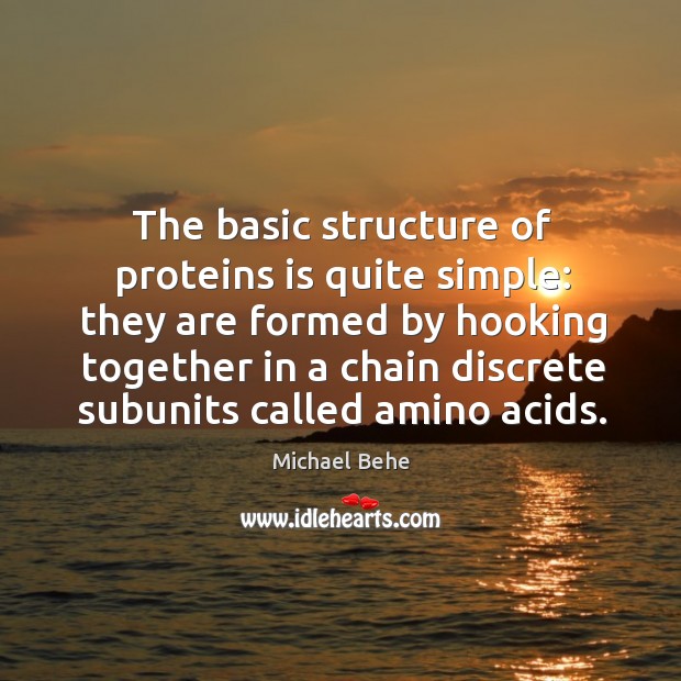 The basic structure of proteins is quite simple: they are formed by hooking together Michael Behe Picture Quote